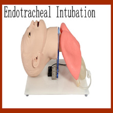 Modèle avancé de formation à l&#39;intubation endotrachéale humaine